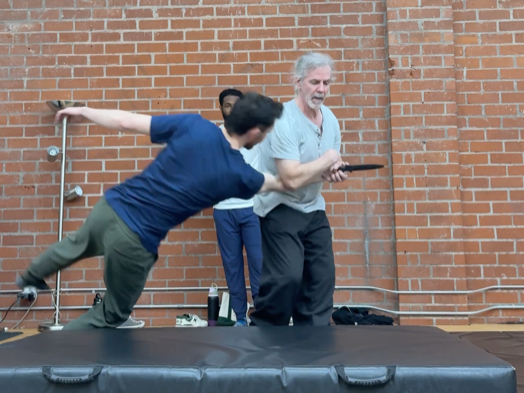 DanTeachingKnifeDisarms_Throws_Cropped